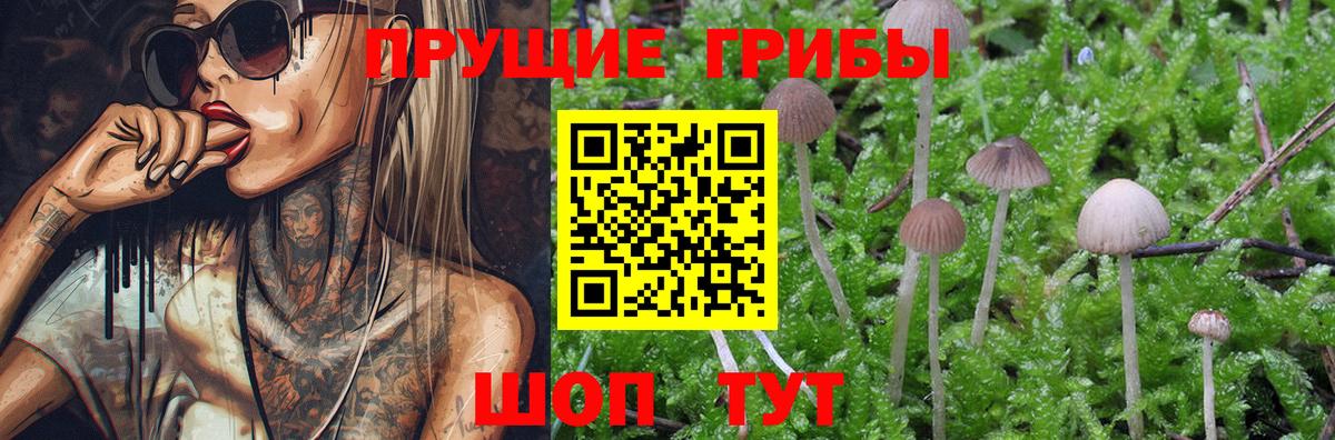 Псилоцибиновые грибы MAGIC MUSHROOMS Малоярославец